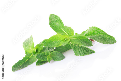Mint isolated
