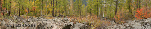 coniferous  forest,    panorama, prospect #33606598