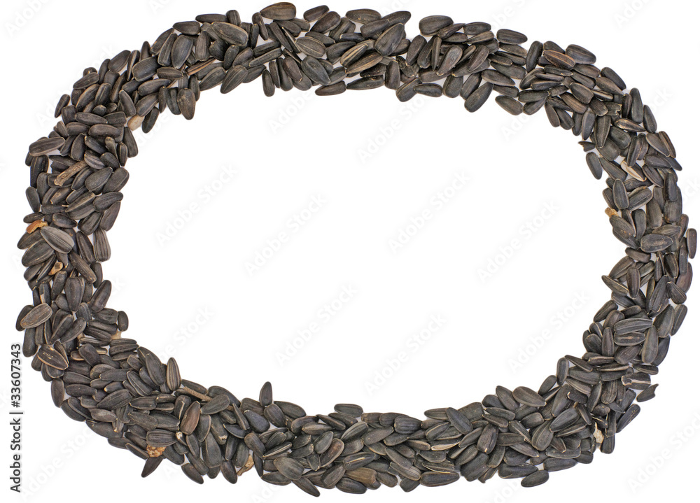 Obraz premium Frame of fresh sunflower seeds