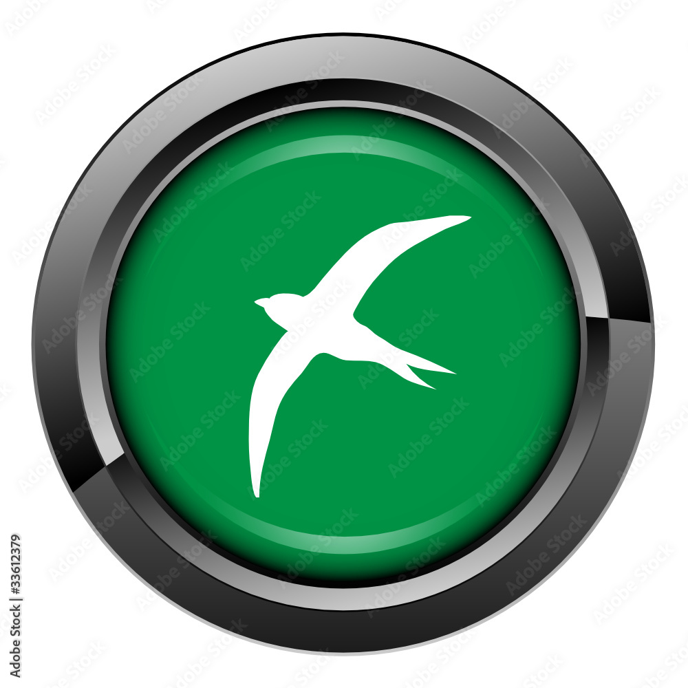 Picto, internet, bouton, oiseau, envol, vol, liberté, libre, Picto, internet, bouton, oiseau, envol, vol, liberté, libre,