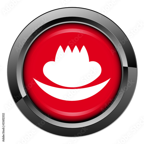 Picto, internet, bouton, marque, identité visuelle, charte