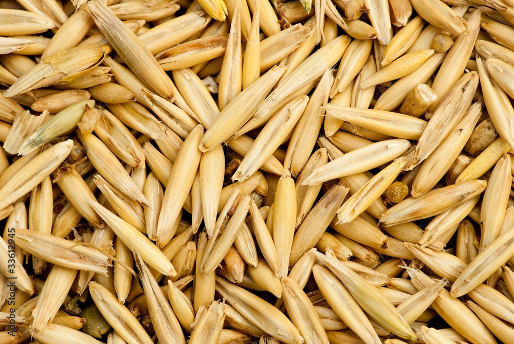 Oats Oats