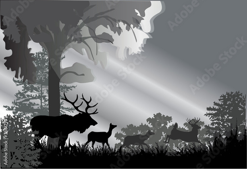 deer silhouettes in grey forest