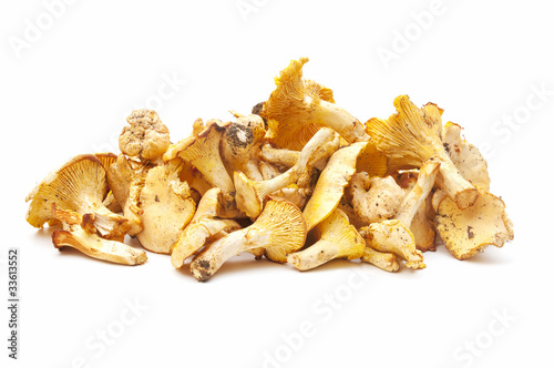 chantellere mushrooms