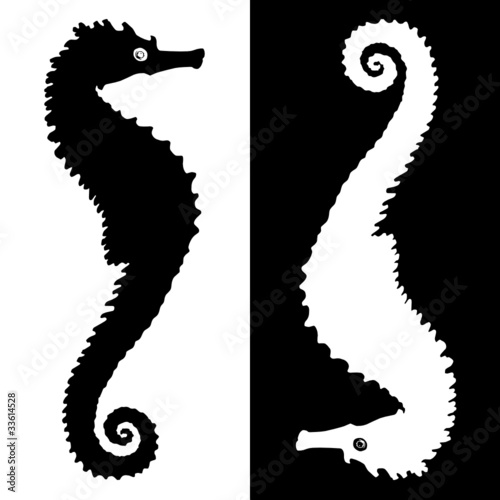 Sea horse vector illustration
