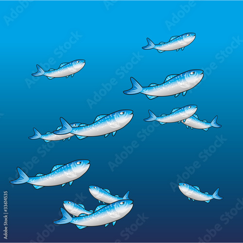 pesce che nuota