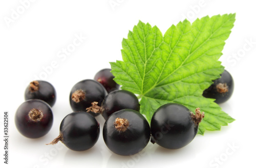 black currant with leafs