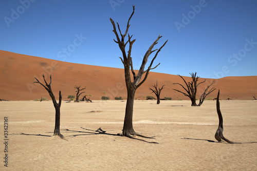 Dead Vlei