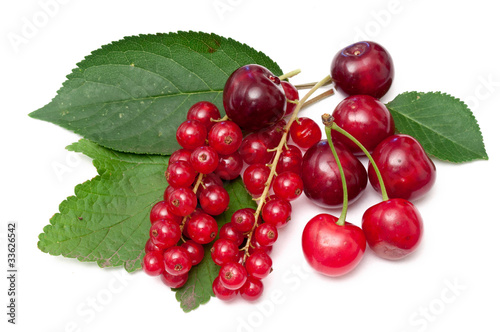 currants and cheeries
