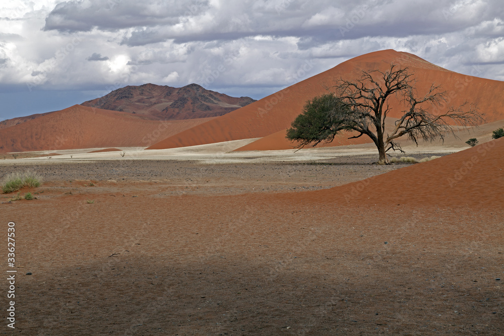 Fototapeta premium Namib-Naukluft-Nationalpark
