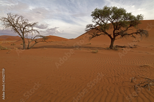 Namib-Naukluft-Nationalpark