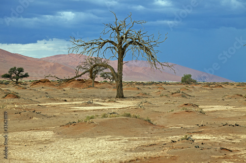 Namib-Naukluft-Nationalpark © Andreas Edelmann