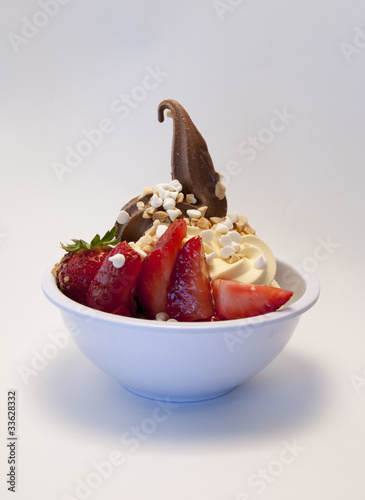 Chocolate and Vanilla Frozen Yogurt with Strawberries