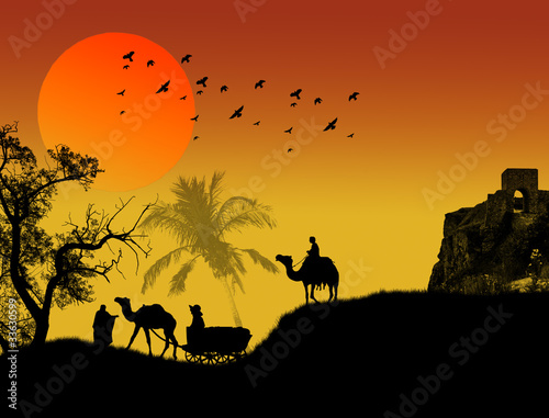 Oasis in sahara desert
