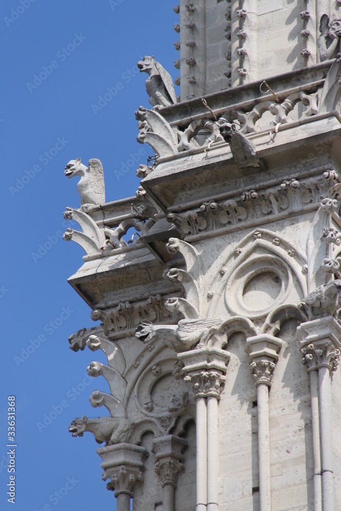 Gargouilles de la Cathédrale Notre-Dame de Paris Gargouilles de la Cathédrale Notre-Dame de Paris