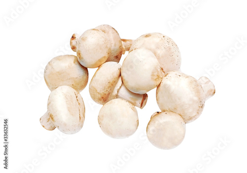 Fresh raw mushroom (champignon) on white background