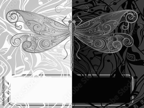 vector monochrome concept   dragonfly photo