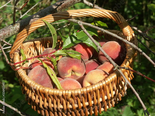 panier de pêches