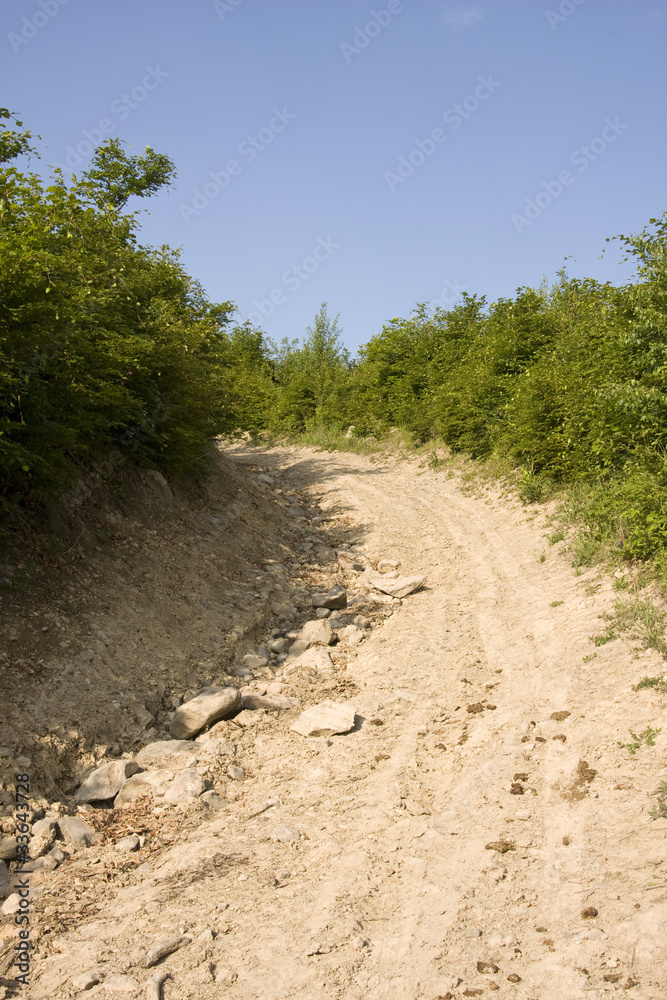 Fototapeta premium Offroad track