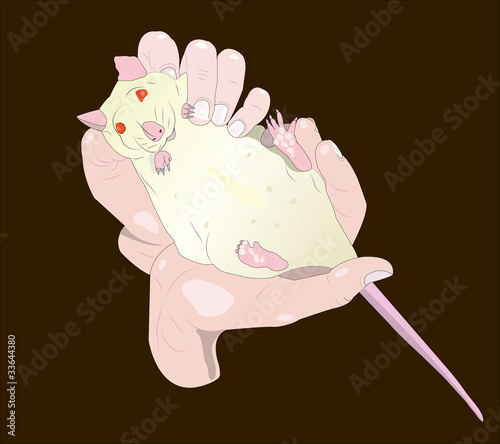 Rat an albino in hands.