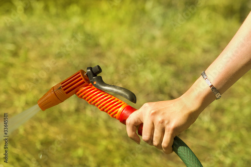 Female hand watering hose © olegusk