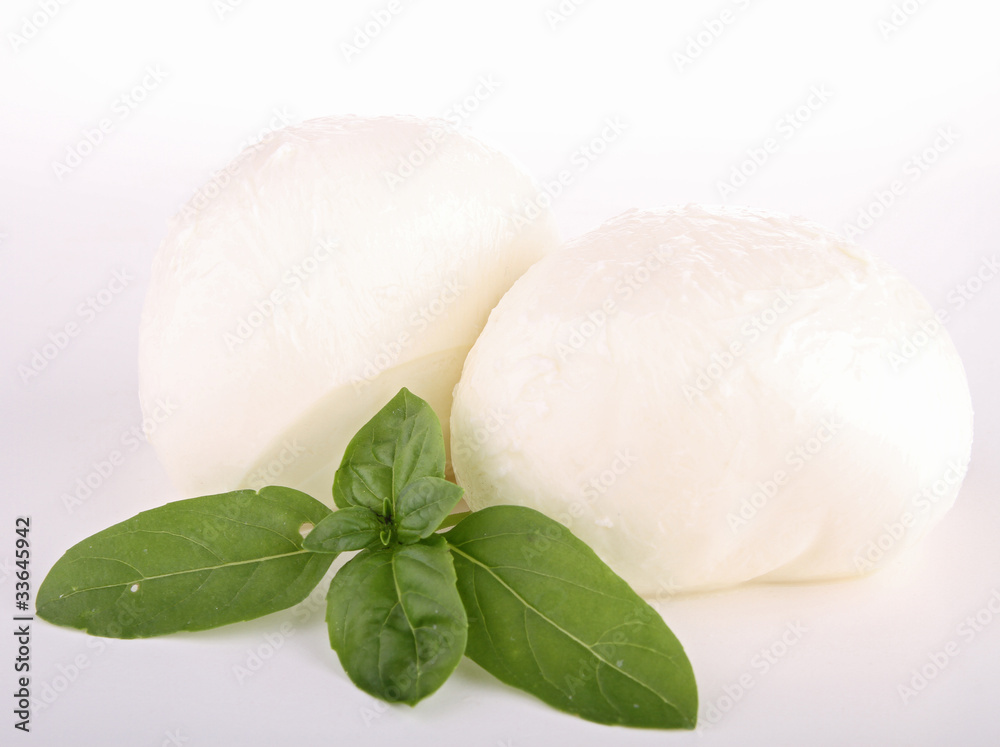 mozzarella sur fond blanc mozzarella sur fond blanc