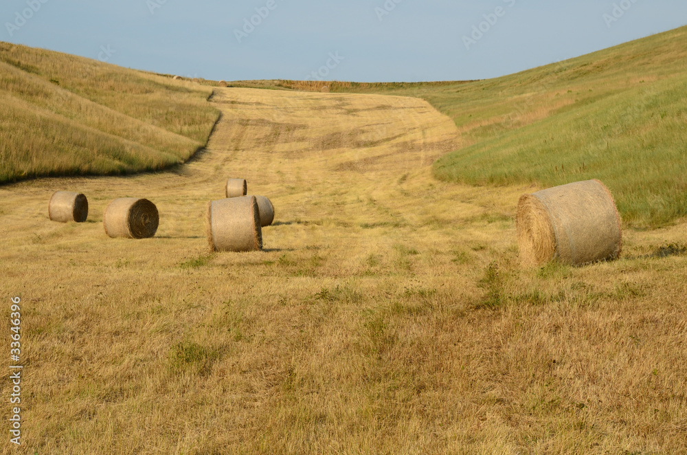 Round Bales on meadow