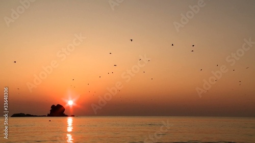 Flock of birds flying over sea at sunset