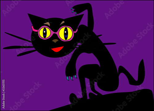 Cat in sunglasses night Vidin