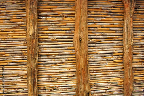 Wooden Ceiling