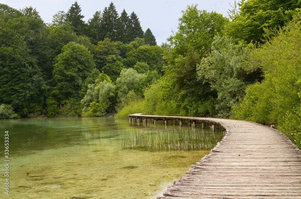 Wooden walkway at the lake.