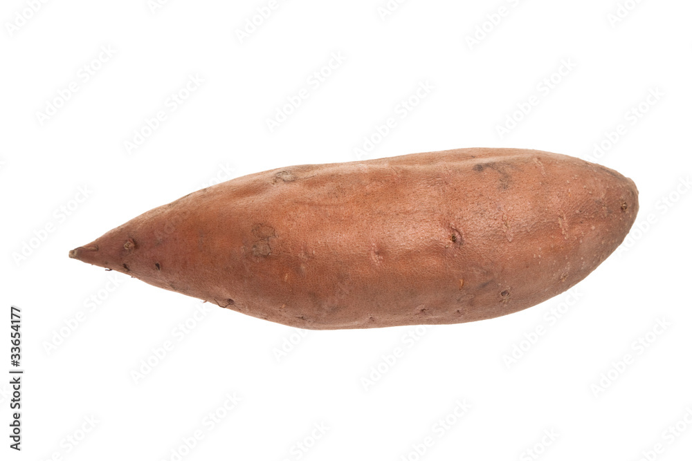 Sweet Potato Sweet Potato