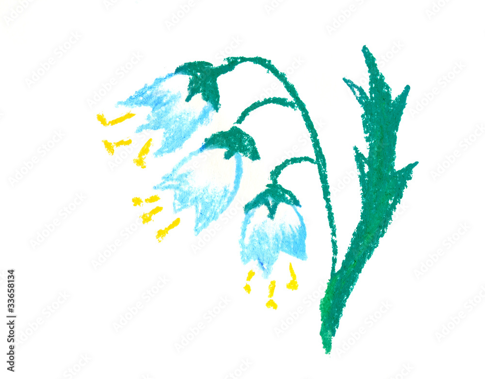 Obraz premium Bluebell hand drown