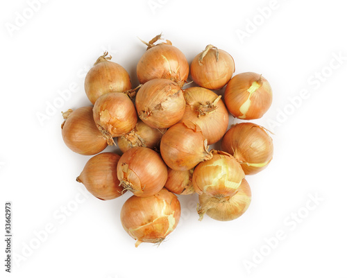 onions on a white background