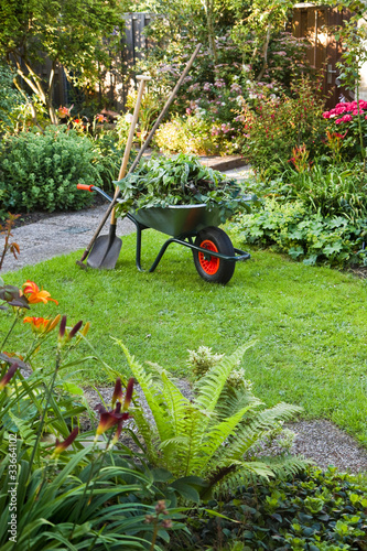 Working with wheelbarrow  in the garden