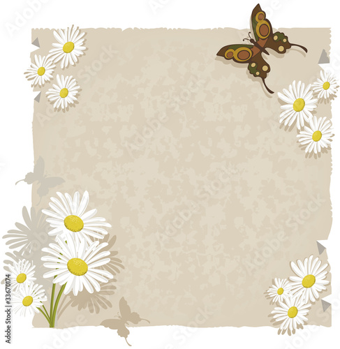Papel com margaridas e borboletas