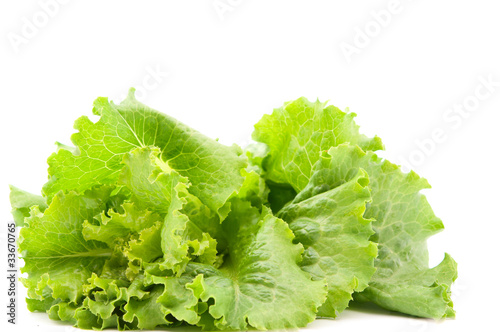 .lettuce leaves