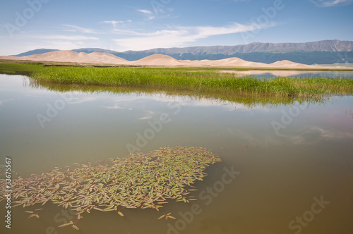 Naklejka 草原湿地风光