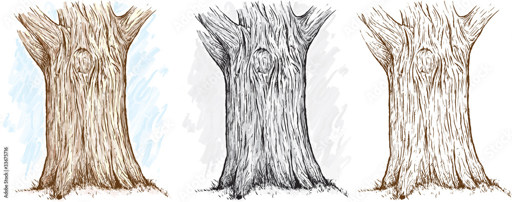 Three different versions of an illustration of a tree trunk