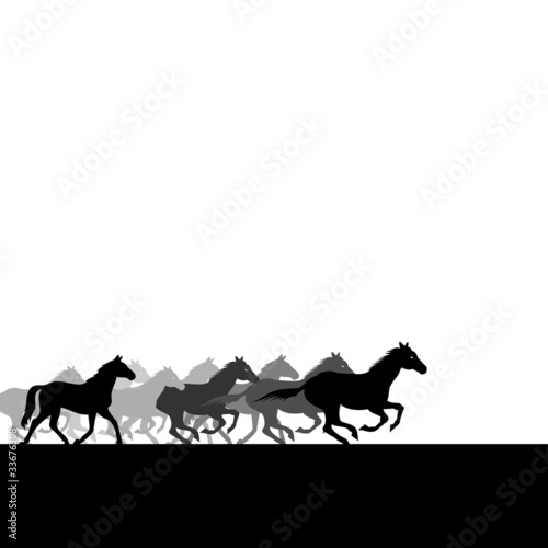 Herd of horses