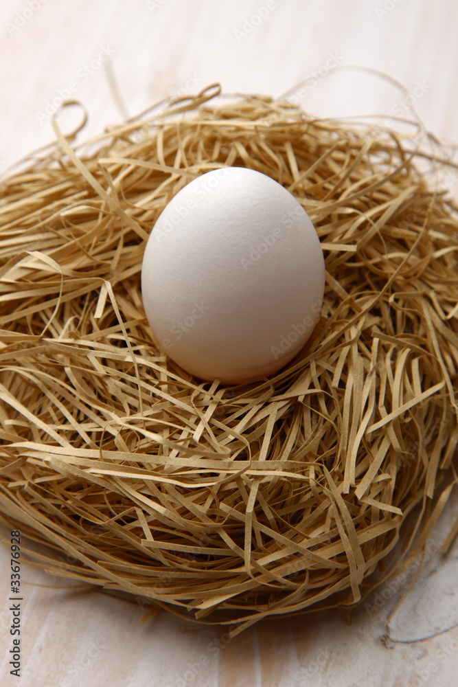 Egg in nest Egg in nest