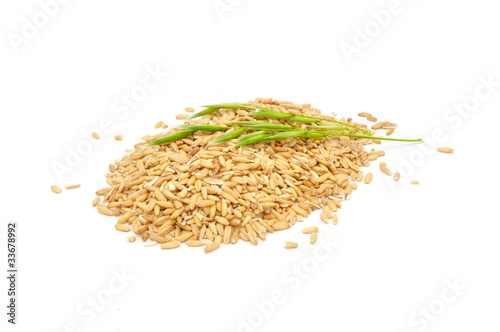 Whole Oats and Ear Isolated on White Background