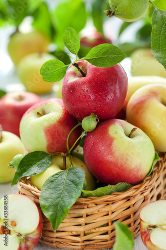 Fototapeta Naklejka Na Ścianę i Meble -  fresh apples