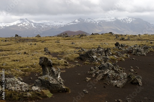 Bizzarre Landschaft aus kaltem Lavagestein in Island photo