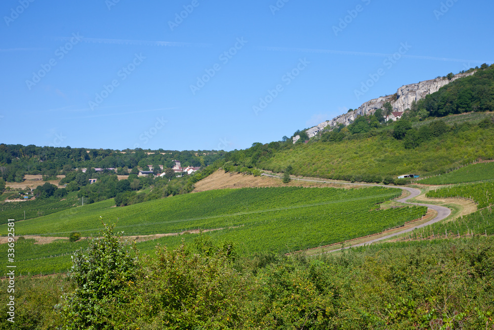 Obraz premium paysage vioticole