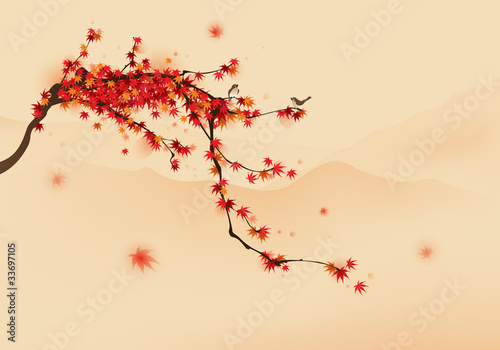 Red maple tree in autumn