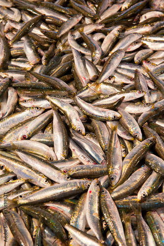 fresh fish at a fish market