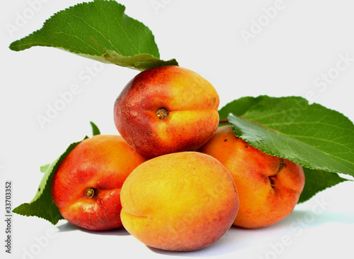 juicy apricots