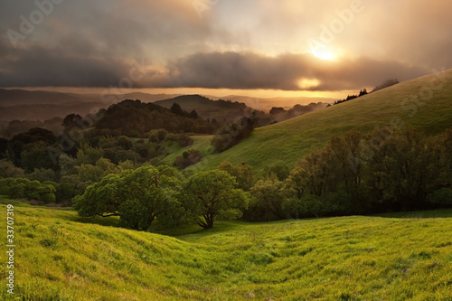 Typical hilly California chaparral meadow at sunset on foggy day © mtilghma