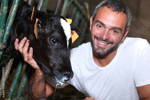 a farmer caressing a calf slobbering milk